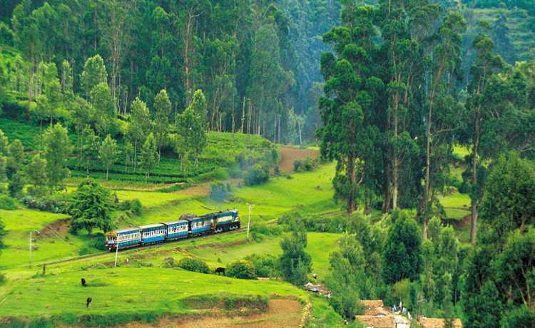 Bangalore - Mysore - Ooty 04 Night 05 Days Tour